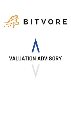 Bitvore Valuation Advisory